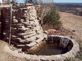 old pond