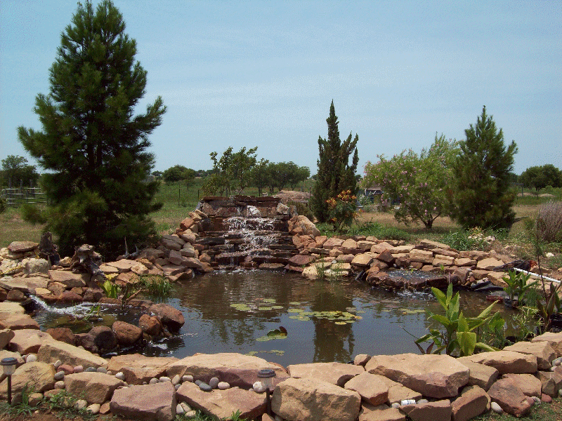 Sunny country pond.