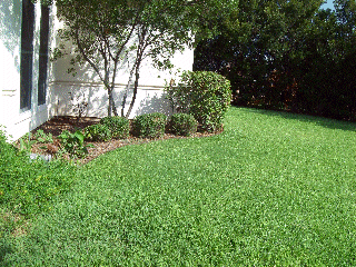 area