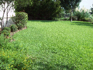 area